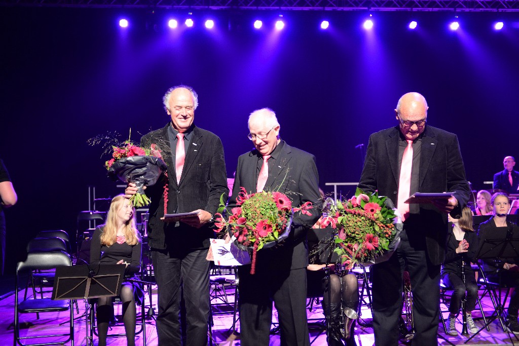 ../Images/Jubileumconcert 100 jaar Harpe Davids 157.jpg